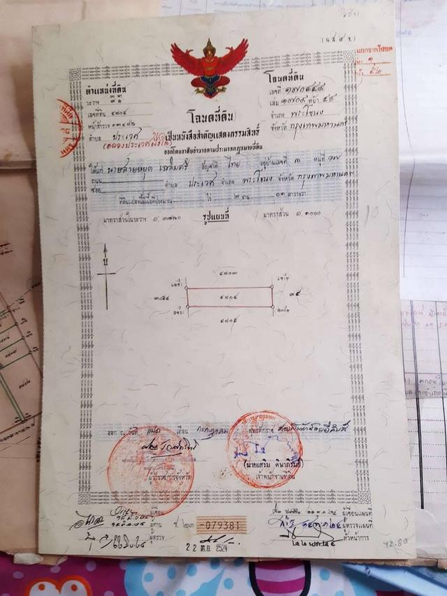 ที่ดิน 1