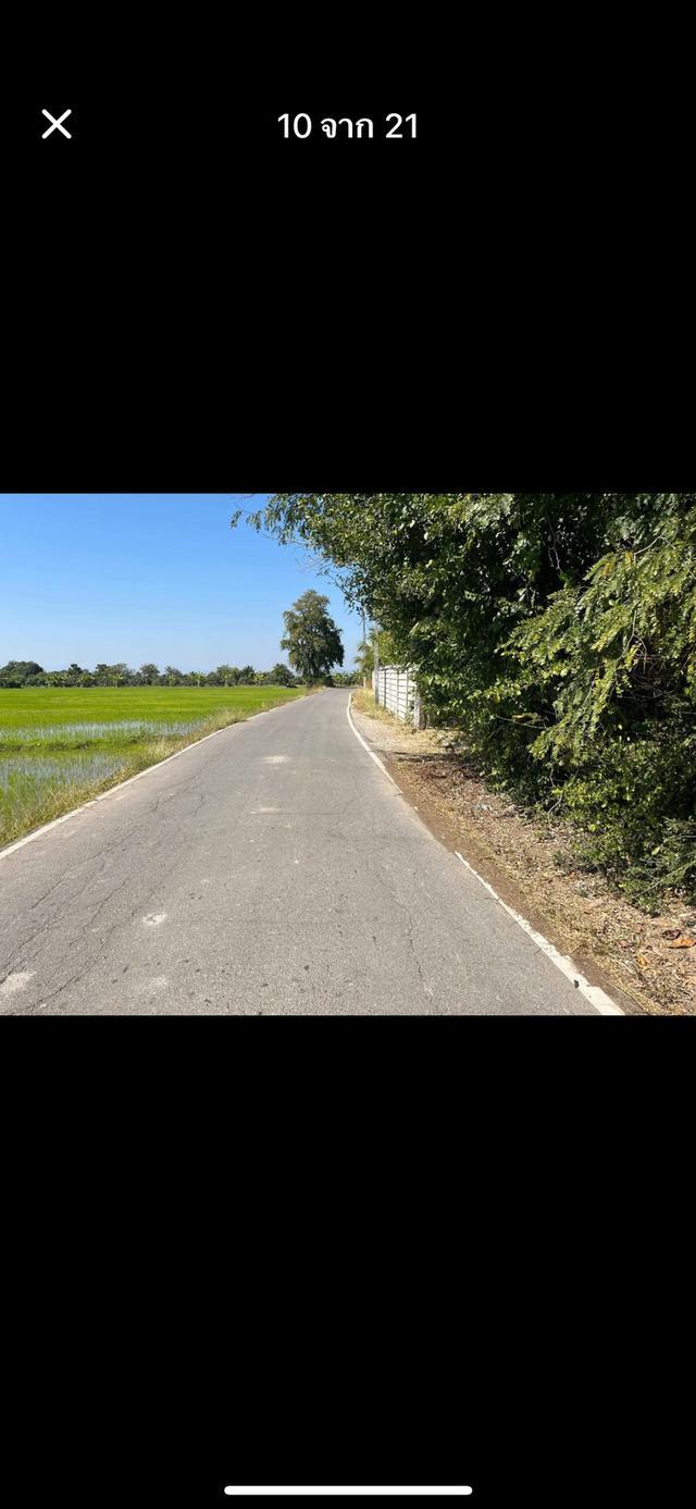 ที่ดินพร้อมสิ่งปลูกสร้าง 3