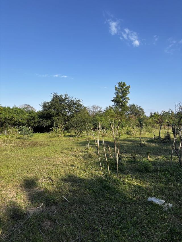 ที่ดินติดถนน ขายด่วน! 7 ไร่ 57 ตรว. อ.บ้านโป่ง ราชบุรี | เจ้าของขายเอง  5