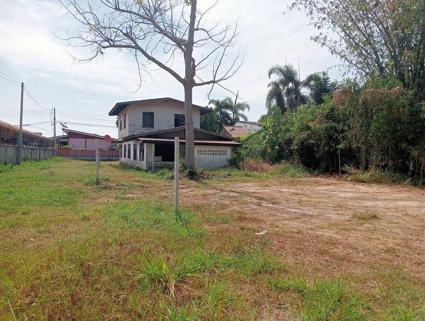 บ้านและที่ดินแปลงใหญ่ 4 ไร่เศษ ในเขตเทศบาลเมืองกาฬสินธุ์ 7