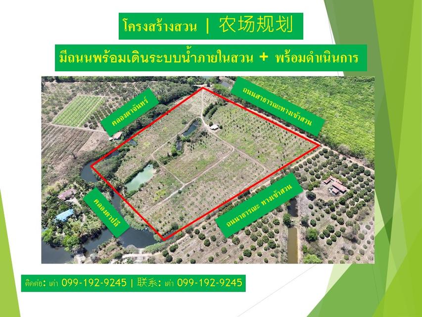 ธุรกิจสวนทุเรียนที่ดินพร้อมสวน 5