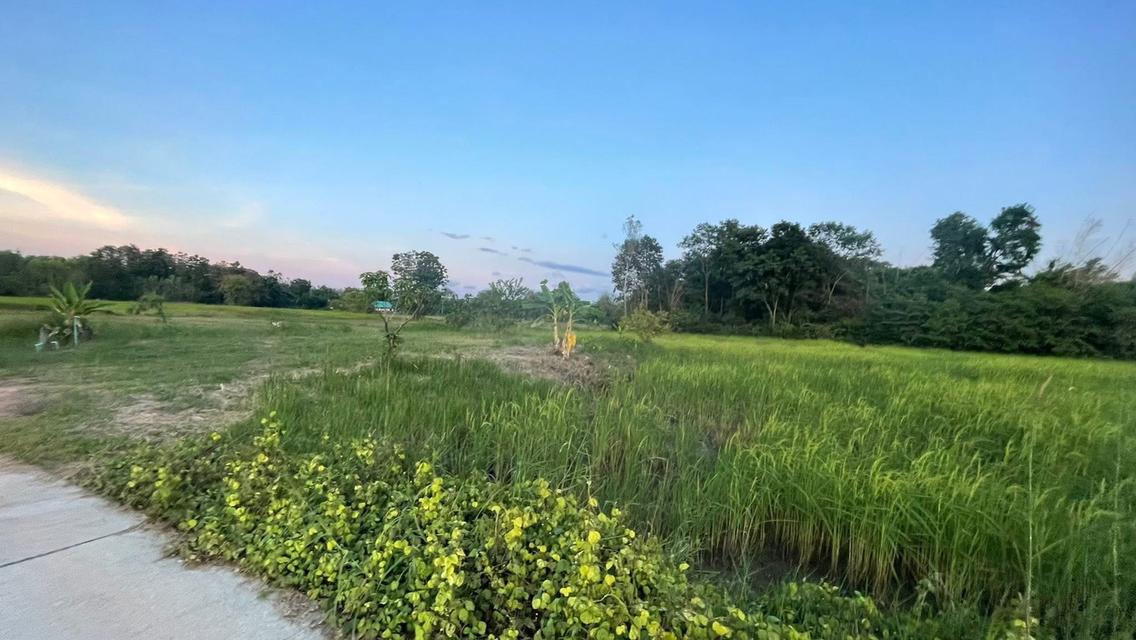 ขายที่ดินในเขตเทศบาล 1 ไร่ 2 งาน 76 ตรว. 3