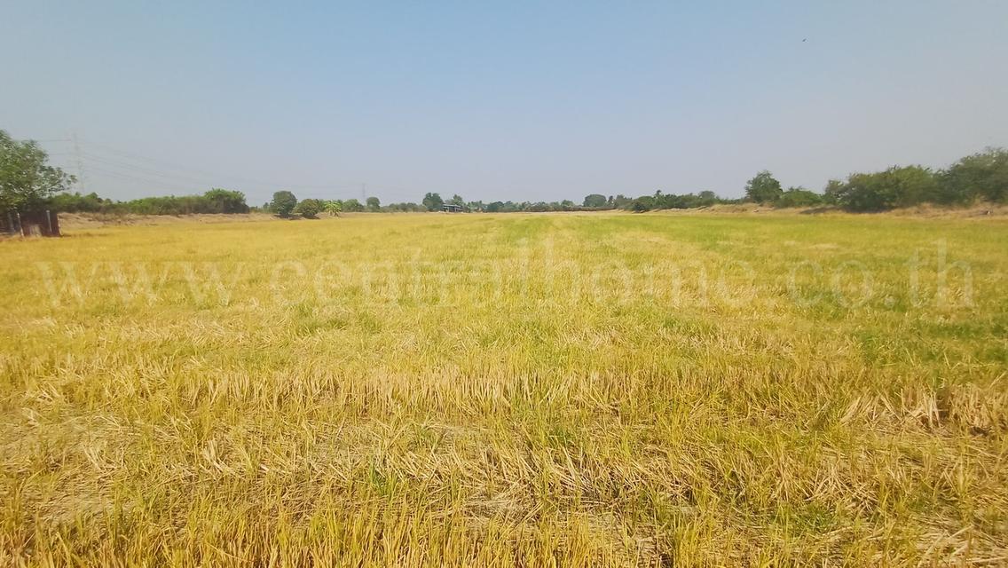 ที่ดิน 34-1-44 ไร่ ไทรน้อย นนทบุรี ทำเลดี ราคาถูกมาก 4
