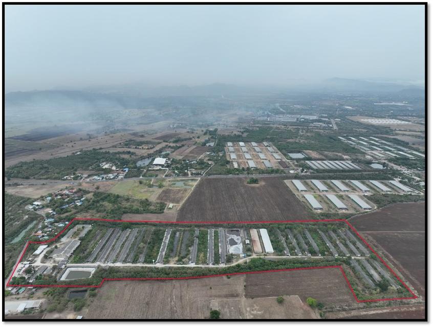 ขายที่ดินพร้อมปลูกสร้าง 4