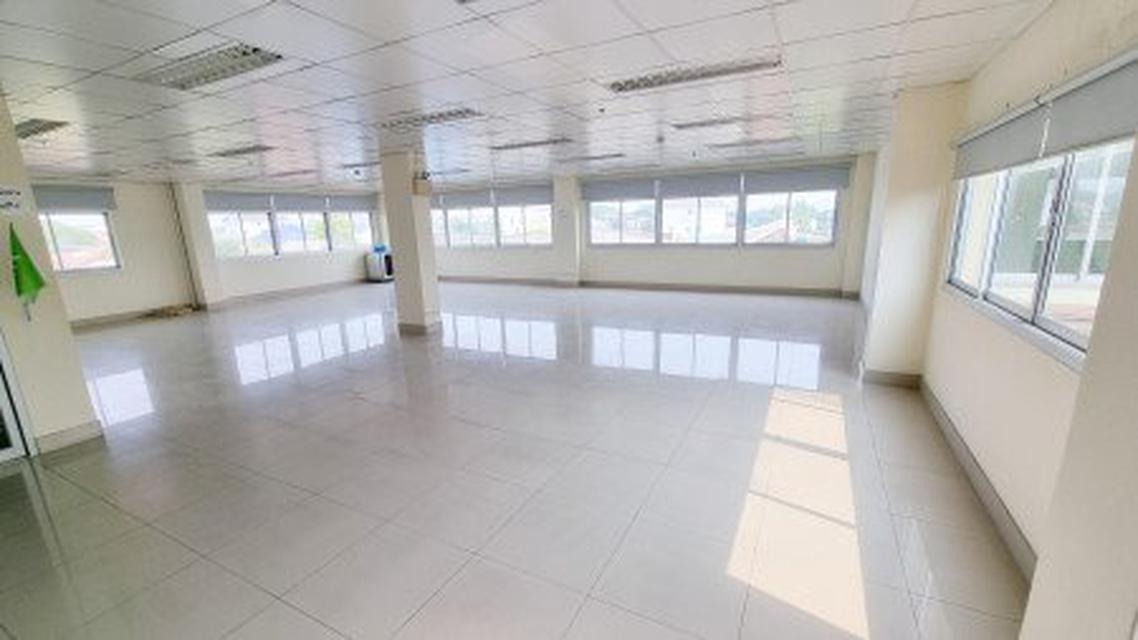 Sale Land 1.5Rai at Sukhumvit plus Office building and house with private pool at Best Price 7