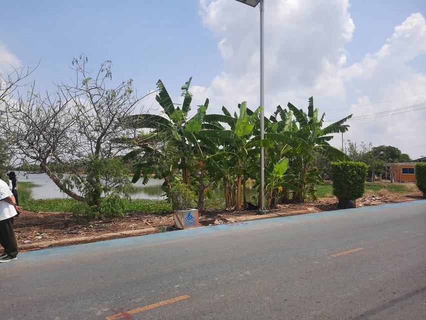 ที่ดิน ทำเลดี หลังสนามบินสุวรรณภูมิ 30 ไร่ 6