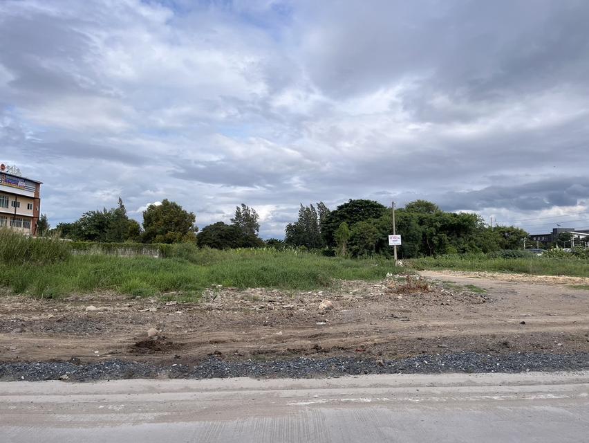 ที่ดิน ใกล้ ม.มหิดล ศาลายา 12