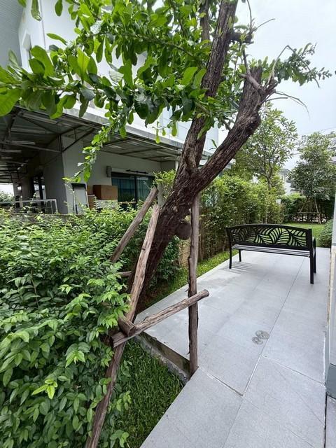 ให้เช่า บ้านเดี่ยว โครงการ เศรษฐสิริ ศรีนครินทร์–พระราม 9  5