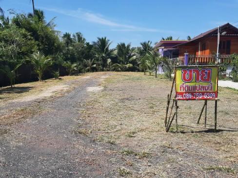 ขายที่ดินบางขันแตก เมืองสมุทรสงคราม 1
