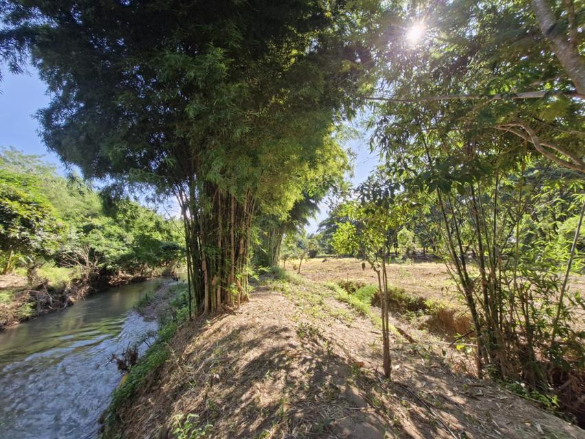ขายบ้านและที่ดินติดริมน้ำที่ดิน 6 ไร่บวกที่ดินทำการเกษตรอีก 16 ไร่ 6
