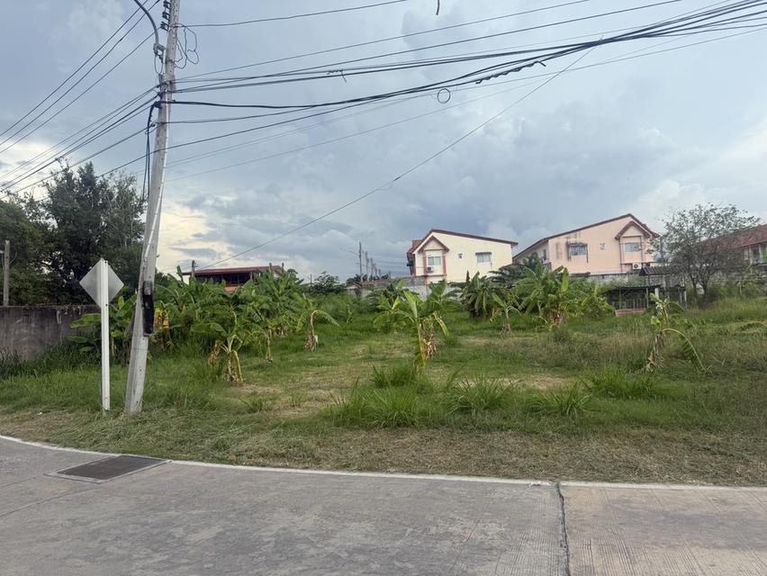 ขายที่ดิน ชลบุรี 6