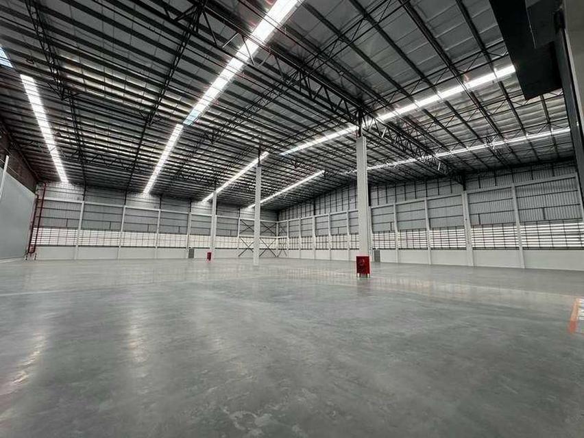 ให้เช่าโรงงาน ถนนบ้านเก่า พานทอง ชลบุรี BRE21770 3
