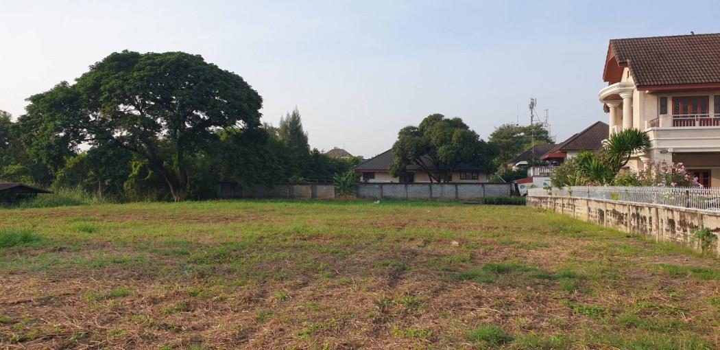 ขาย ที่ดิน ถนนสวนผัก ตลิ่งชัน 1-2-87 ไร่ ฮวงจุ้ยดีเยี่ยม | หน้าน้ำทิศเหนือ