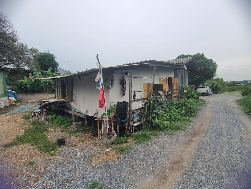 ให้เช่าบ้าน(ซอยโรงเรียนสายปัญญารังสิต) 7