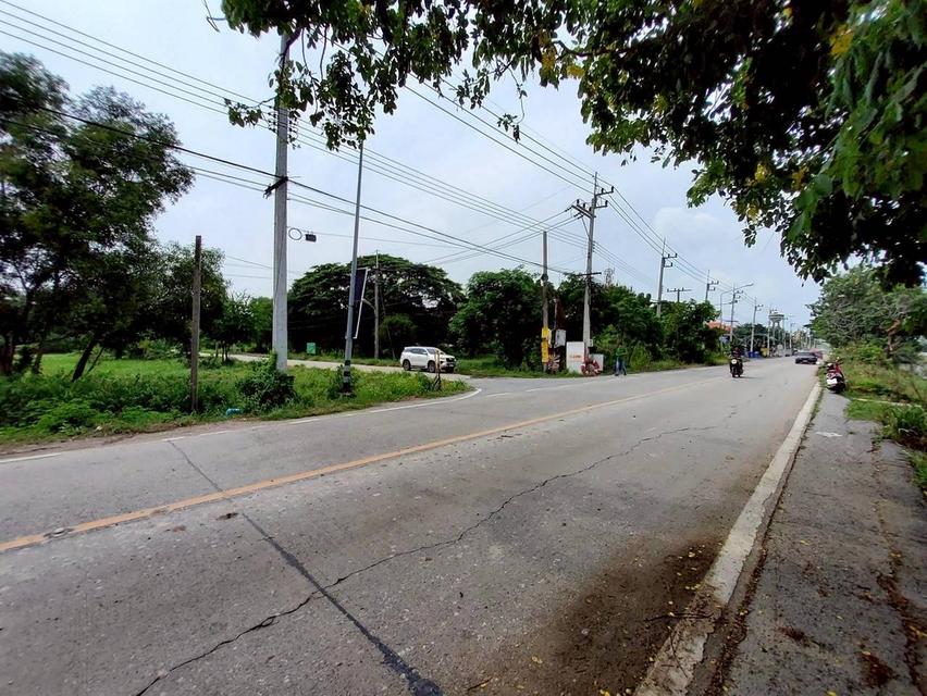 V ายถูกที่ดินใกล้วัดโพธิ์นิ่ม 225 ตารางวา(แบ่งได้) ถมแล้วทั้งแปลง ติดถนนคอนกรีต อ.สามโคก จ.ปทุมธานี 3