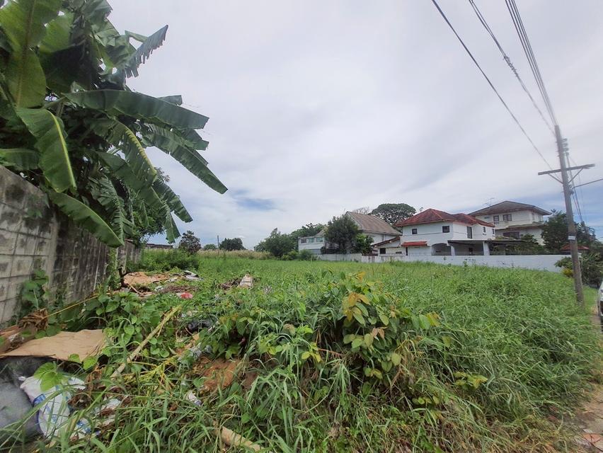 ที่ดิน 3