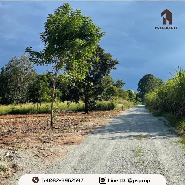 ขายที่ดินทำเลสวย 2 แปลง ต.บางพระ อ.ศรีราชา จ.ชลบุรี อยู่ติดกับร้านอาหารสวนเขาพุ