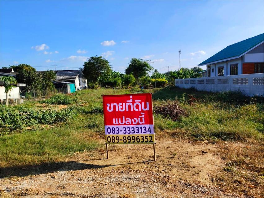 ที่ดินเปล่า 200 ตรว. 2