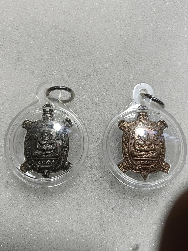 เต่าขวัญใจมหาชนหลวงปู่หลิว รูปที่ 2