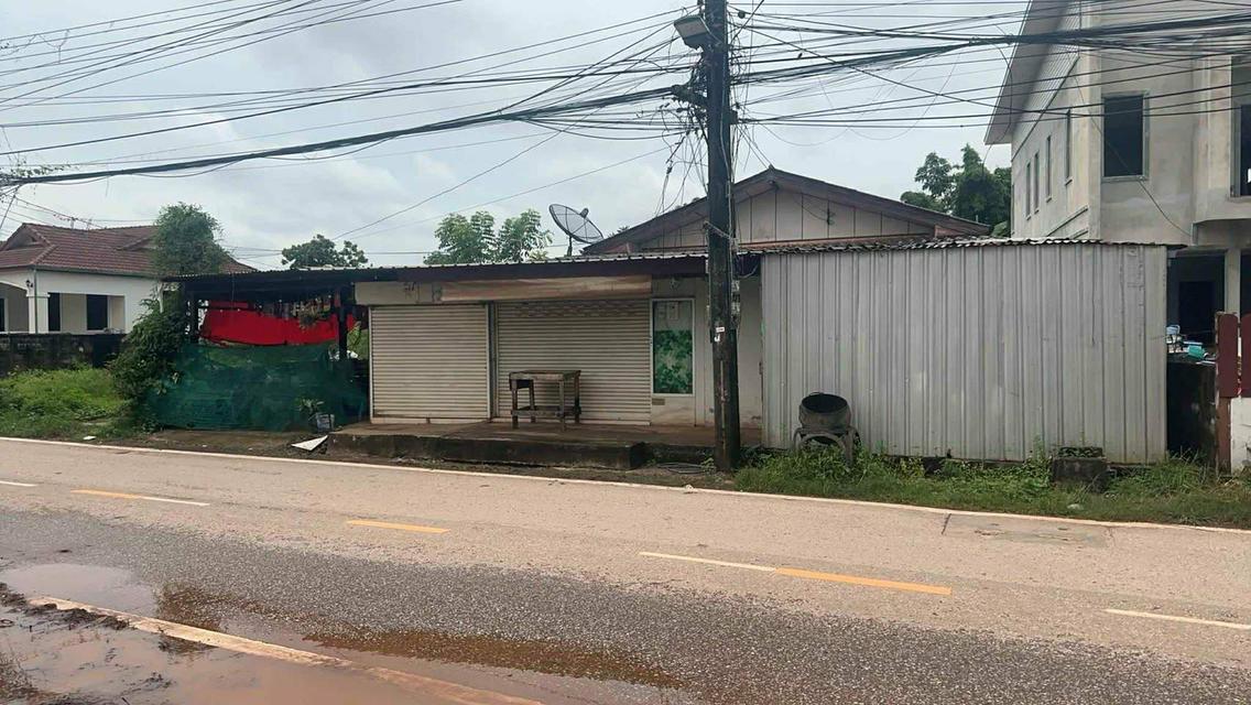 ขายบ้านพร้อมที่ดิน บ้าน4หลัง 1