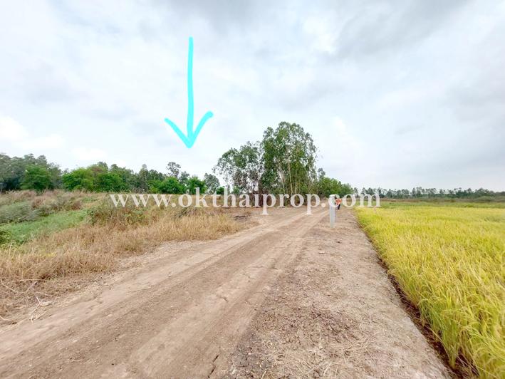 ที่ดิน ถนน3111 บางไทร อยุธยา 6
