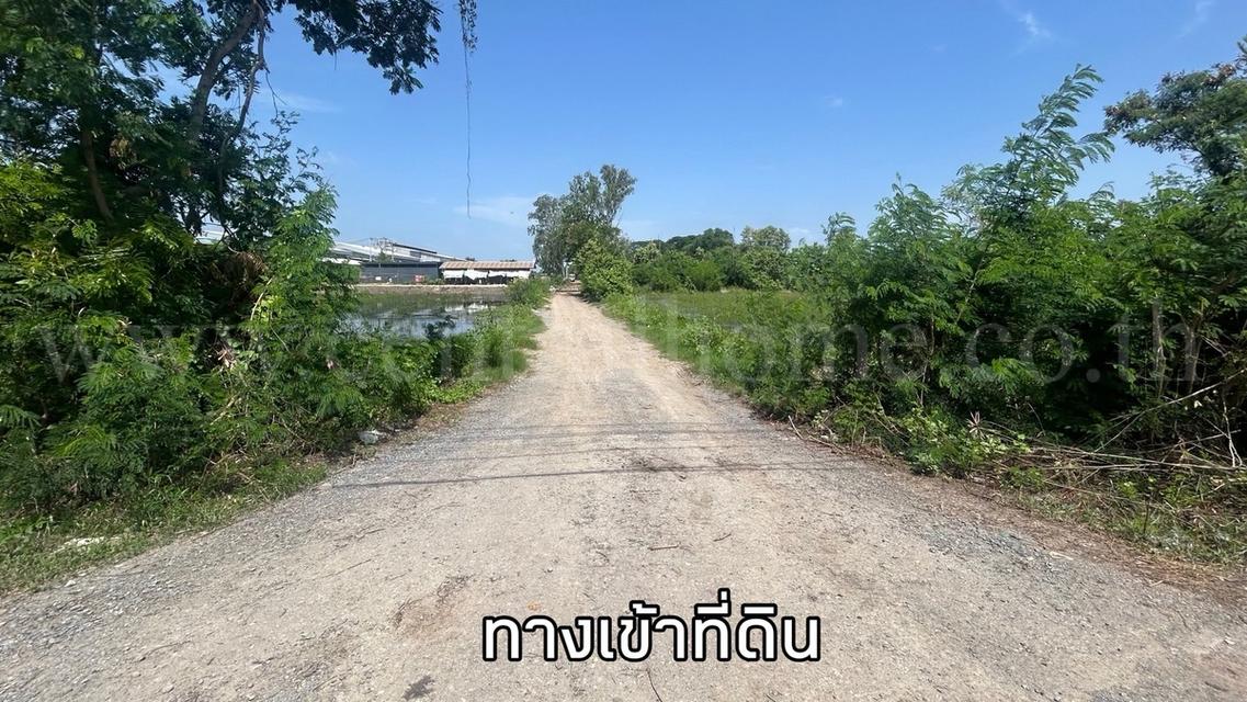 ที่ดินเปล่า 1 ไร่ หนองเพรางาย - ไทรน้อย นนทบุรี ขายถูก 8