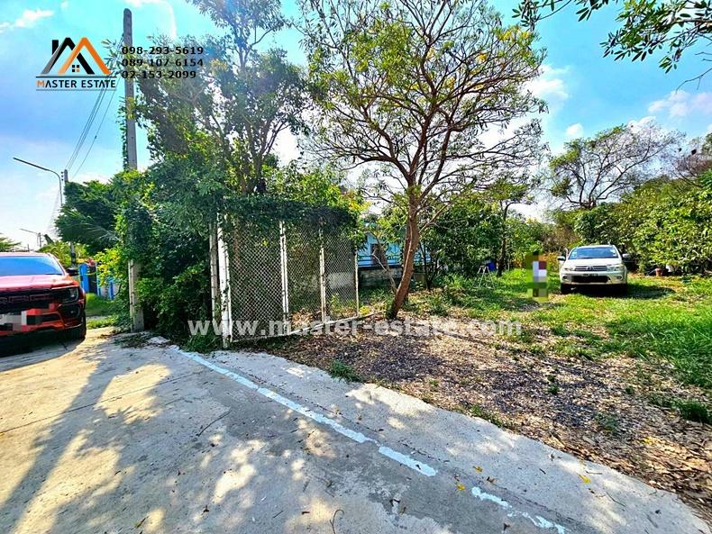 ที่ดินเปล่า 100 ตร.ว. หลักหก (ซอยเมืองเอก) พหลโยธิน 87 ที่ดินสวยทรงสี่เหลี่ยม เหมาะปลูกบ้าน อากาศดี ถนนคอนกรีต ปลูกต้นไม้หลายชนิด ราคาดีมาก 1