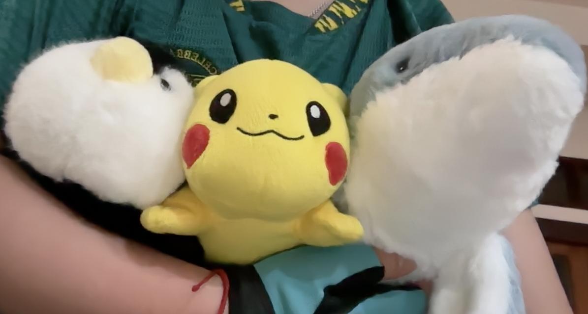 random stuffies for sale!