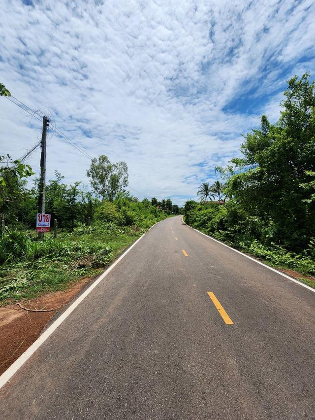ขายที่ดินโฉนด อ.ทุ่งฝน เนื้อที่ 105 ตรว. 6