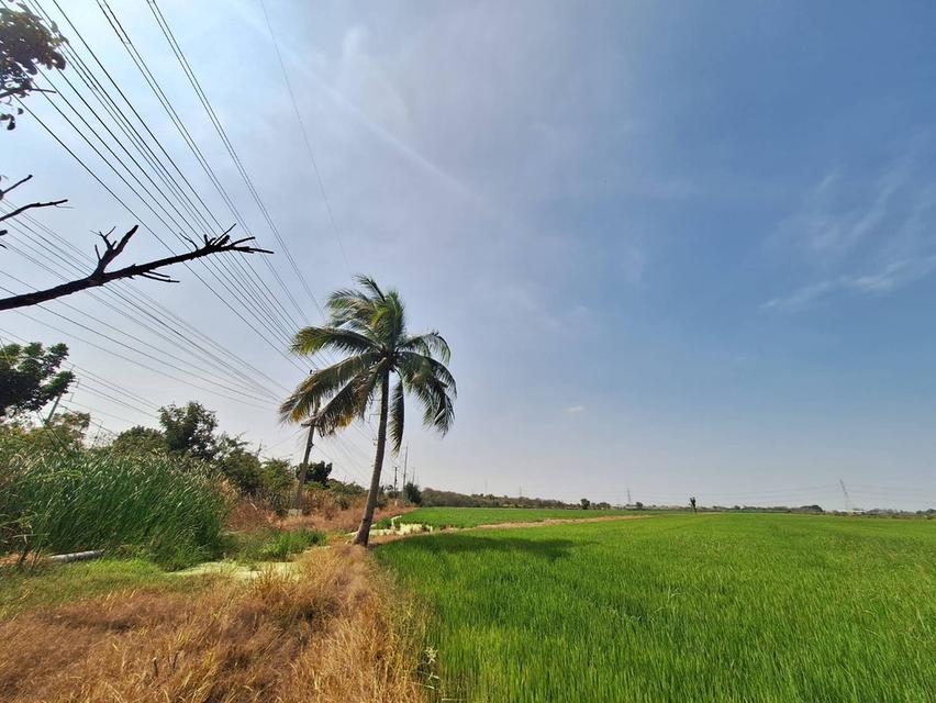 ที่ดินติดถนนปทุมธานี บางเลน ลาดหลุมแก้ว 3