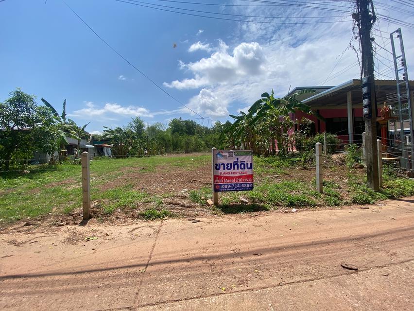ขายที่ดินเปล่าถมเเล้ว ใกล้ศูนย์ราชการ อ.บ้านผือ จ.อุดรธานี 8