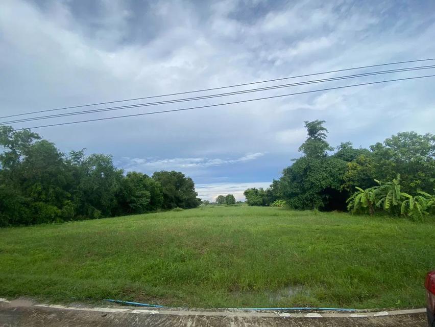 ขายที่ดิน 3ไร่ อ.พานทอง จ.ชลบุรี 1