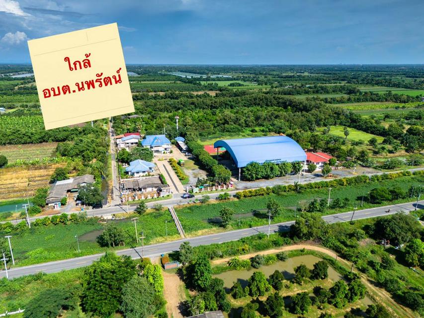 ขายที่ดินปทุมธานี รังสิตคลอง 12 ตำบลนพรัตน์ อำเภอหนองเสือ ติดถนน 100 เมตร ใกล้โรงเรียนวัดนพรัตนาราม 7