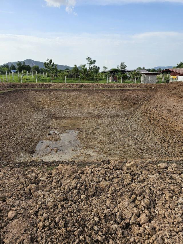 ที่ดิน 1 ไร่ โฉนด น.ส.4 จ. (ติดทางสาธารณะ ถมที่และล้อมรั้วแล้ว) 10