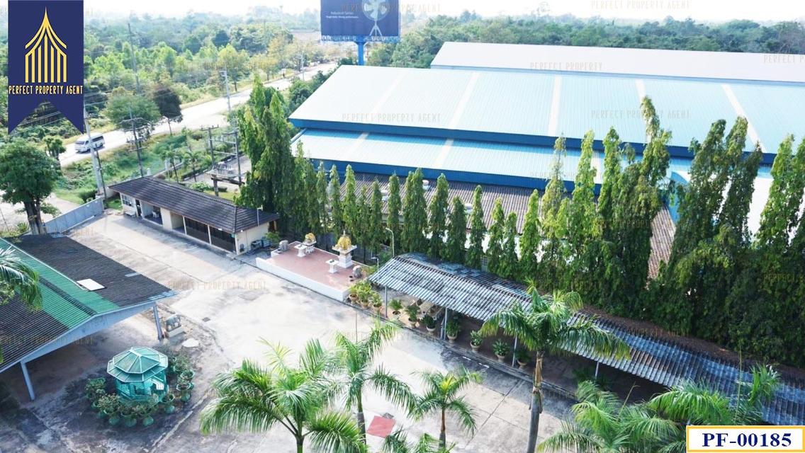 ขายที่ดินพร้อมโรงงาน 130 ไร่ ปราจีนบุรี 10