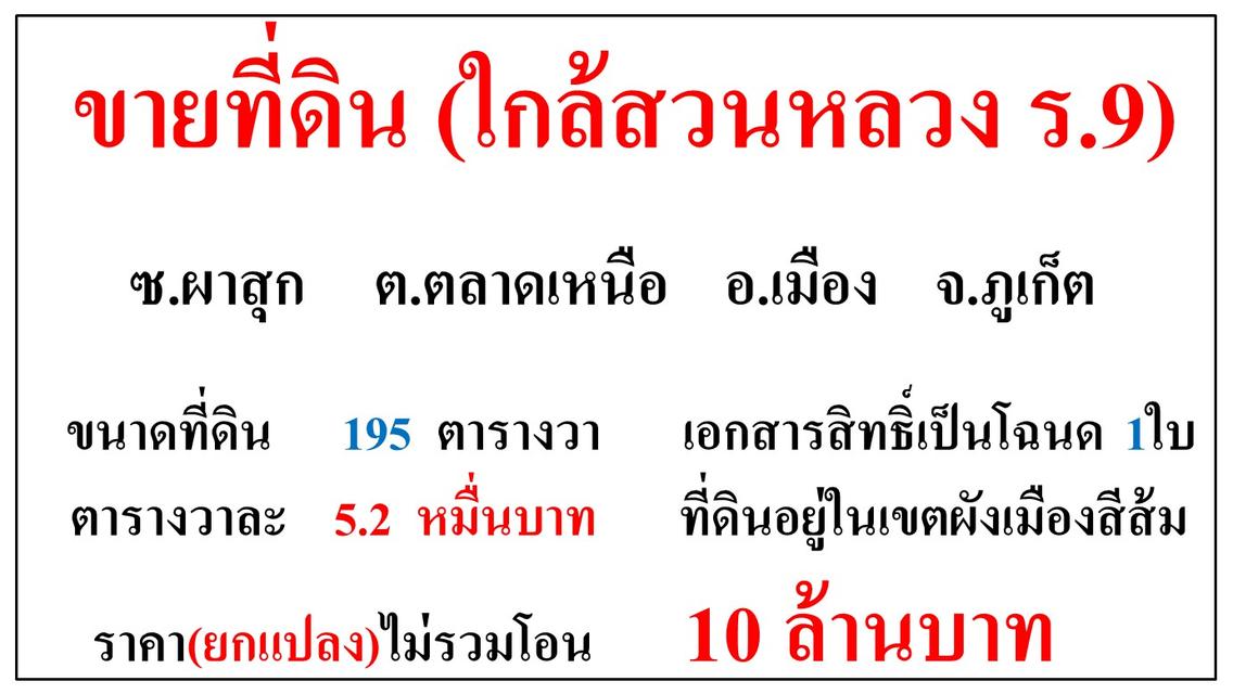 ขายที่ดิน ขนาด 195 ตารางวา **ใกล้สวนหลวง ร.9 ซ.ผาสุก** เมืองภูเก็ต 2