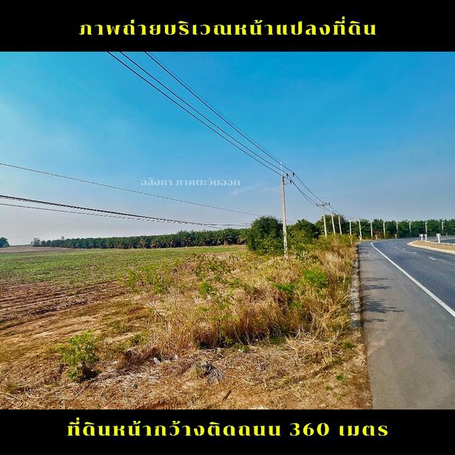 ขายที่ดินแปลงใหญ่เขตพื้นที่ EEC ชลบุรี หนองใหญ่ชลบุรี 5