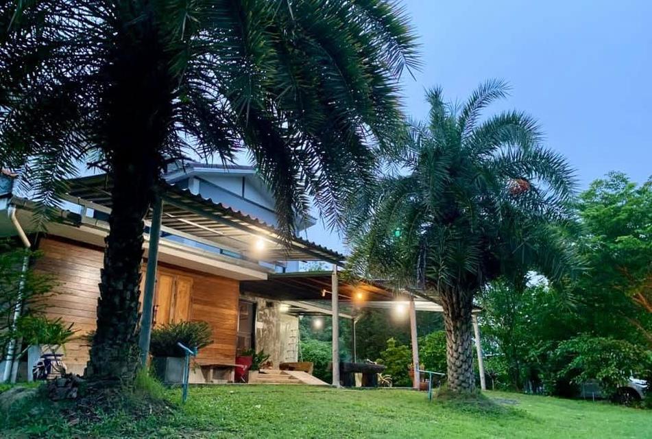 ที่ดินพร้อมบ้านสวนผลไม้