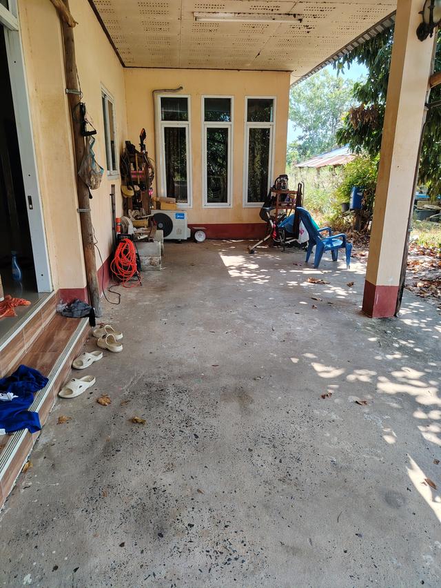 บ้านเดี่ยว 1ชั้น มีต้นไม้ให้ร่มเงา 2