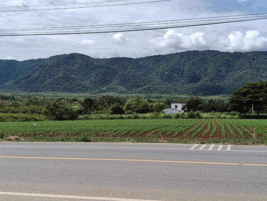 ขายที่ดินเขาใหญ่ ติดถนน3052 หมูสี ปากช่อง ที่ดิน 4 ไร่ติดถนนใหญ่ ใกล้ธนะรัชต์ ทางไปทอสคานา โป่งตาลอง ใกล้คีรีมายา วิวอุทยานเขาใหญ่ เลือดไทย 0879074045 4
