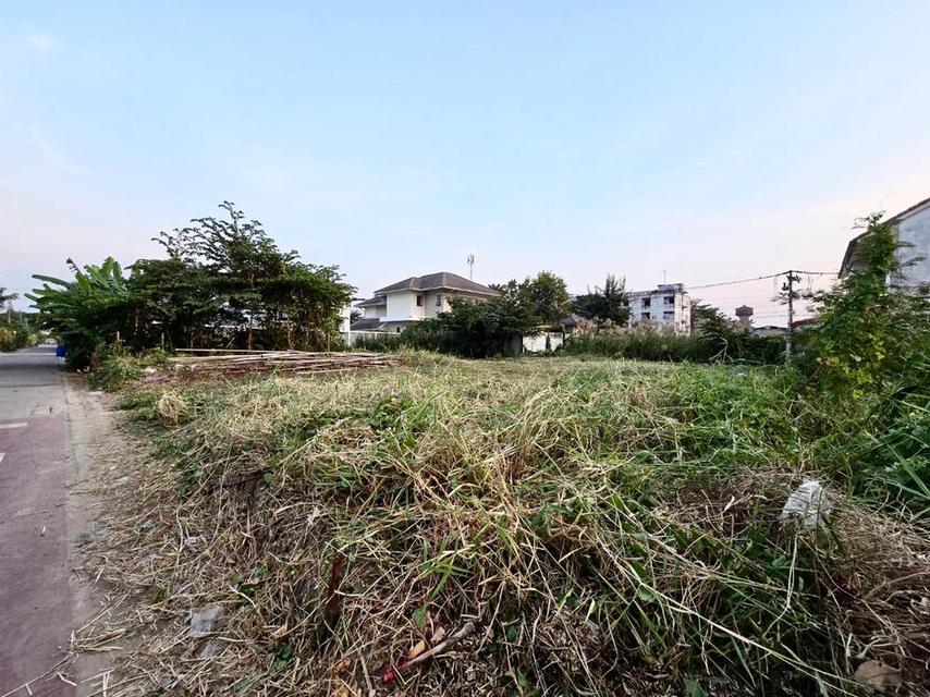 ที่ดินถมแล้ว 100 ตร.วา ตรงข้าม รร.อนุบาล ยุวมิตร เพชรเกษม 77 แยก 4-7 ถนนสวัสดิการ 2 ซอย 10 หนองแขม 4