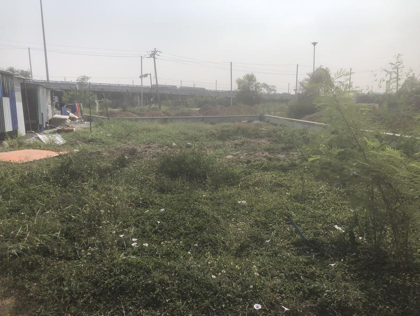 ที่ดิน คลองสาม คลองหลวง เนื้อที่ 50 ตารางวา 1