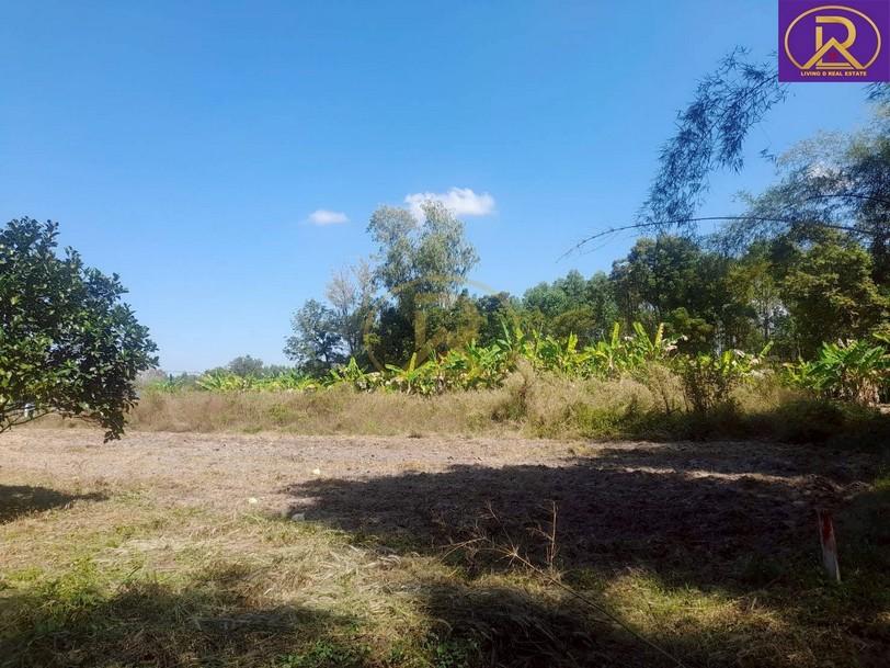 ขายที่ดินเปล่า ราคาหลักแสน แปลงสวย ทำเลดี เหมาะสร้างบ้าน 1 งาน 99.4 ตารางวา ต.นาวังหิน อ.พนัสนิคม จ.ชลบุรี 6