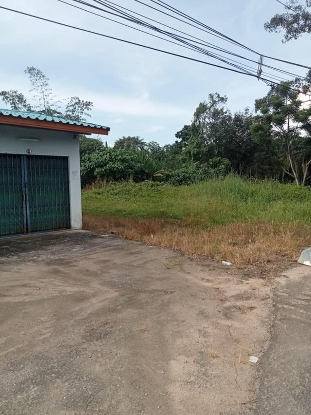 ที่ดิน 1