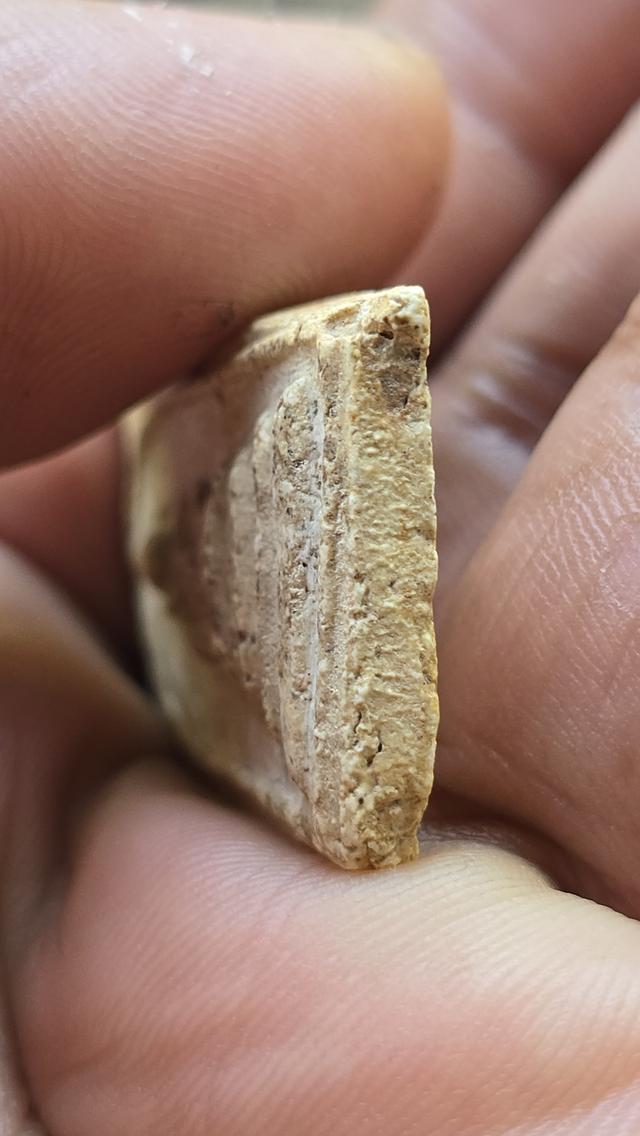 พระสมเด็จบางขุนพรหม พิมพ์สังฆาฏิ 5