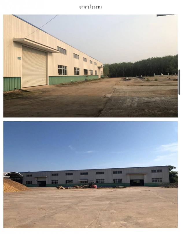 ขายด่วน! โรงงาน อ.เมือง บึงกาฬ เนื้อที่ 8 ไร่ 2 งาน (ขยายได้ถึง 20 ไร่) ต่ำกว่าราคาประเมินเกือบ 15 ล้าน | โรงงานไม้ยางพา 1