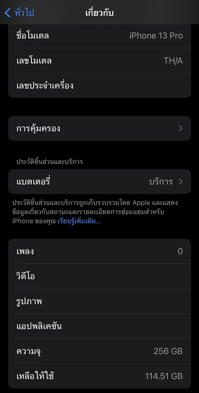 Iphone 13 Pro 256GB Silver