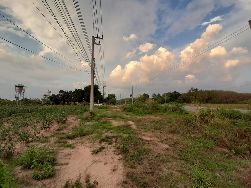 ที่ดินเปล่า 24 ไร่ ติดถนนสาย13 ซอย8 อ.นิคมพัฒนา จ.ระยอง 3