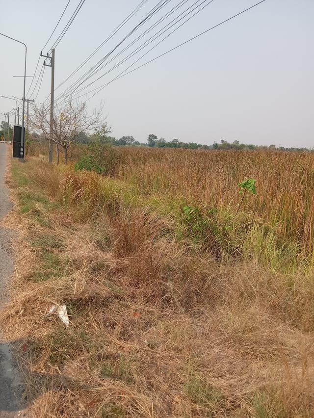 ขายที่ดิน 8 ไร่ 23 ตารางวา 4