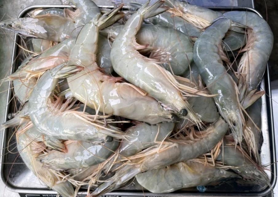 กุ้งแช่บ๊วย ไซส์ใหญ่ 4